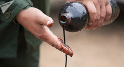 «Нефть из соломы»: российские ученые доказали положительный эффект пиролиза