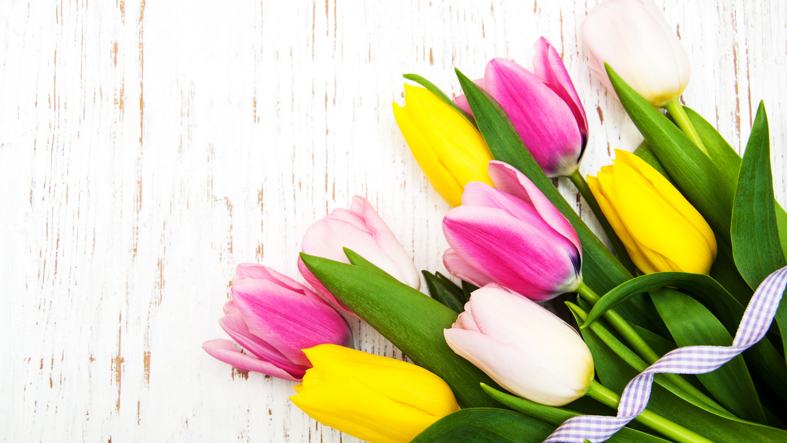 tulips-bouguet-color-zheltye-rozovye-buket-lenta-tiulpany-be