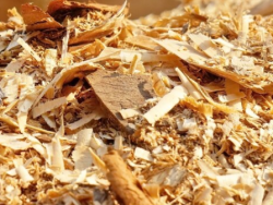 СИБИРСКИЕ УЧЕНЫЕ РАЗРАБОТАЛИ ПРИРОДНЫЙ СОРБЕНТ ДЛЯ ОЧИСТКИ ВОДЫ