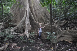 НОВЫЕ БОГАТЫЕ ЖИРНЫМИ КИСЛОТАМИ ЗЕЛЕНЫЕ ВОДОРОСЛИ НАЙДЕНЫ В ПОЧВАХ ВЬЕТНАМА