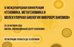 25 — 26 октября 2025 –  IV GMMMC 2025