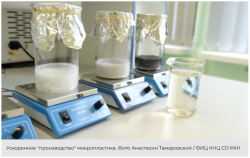 УЧЕНЫЕ НАКОРМИЛИ РАЧКОВ МИКРОПЛАСТИКОМ И ПОСМОТРЕЛИ, ЧТО БУДЕТ