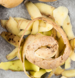 В СИБИРИ НАУЧИЛИСЬ ПОЛУЧАТЬ ИЗ ОТХОДОВ СРАЗУ ТРИ ВИДА ЭНЕРГИИ