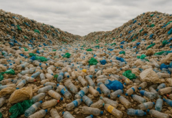 СЕКРЕТНАЯ АЛХИМИЯ БИОМАССЫ: ОТХОДЫ СТАЛИ ЦЕННЕЙШИМ РЕСУРСОМ