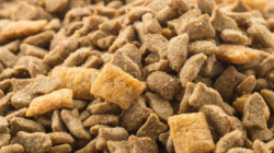 ЗАПЕЧЁННЫЕ КОРМА ДЛЯ ДОМАШНИХ ЖИВОТНЫХ: ЩАДЯЩАЯ ОБРАБОТКА ФОРМИРУЕТ НОВЫЙ ЭТАП ПРЕМИАЛЬНОГО СЕГМЕНТА