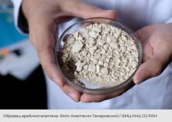 НА СМЕНУ ИМПОРТНЫМ ДОБАВКАМ СОЗДАН ПОЛИМЕР ИЗ ЛИСТВЕННИЦЫ