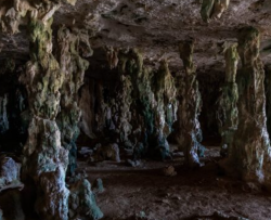 ТАЙНАЯ ЖИЗНЬ КАМНЕЙ: ПЕЩЕРНЫЕ МИКРОБЫ ВЫДАЮТ СВОИ СЕКРЕТЫ В ПОЛЕВЫХ УСЛОВИЯХ