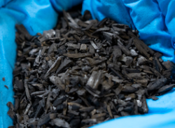 БИОУГОЛЬ ИЗ АГРООТХОДОВ МОЖЕТ СТАТЬ АЛЬТЕРНАТИВОЙ АНТИБИОТИКАМ В ЖИВОТНОВОДСТВЕ