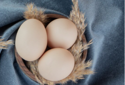 ВЫЯВЛЕН ВИРУС-БАКТЕРИОФАГ, УНИЧТОЖАЮЩИЙ СТОЙКУЮ К АНТИБИОТИКАМ САЛЬМОНЕЛЛУ