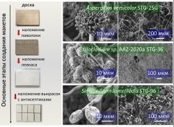 «БРОНЯ» ДЛЯ ШЕДЕВРОВ: СОЗДАНЫ НОВЫЕ СОЕДИНЕНИЯ ДЛЯ ЗАЩИТЫ ПРОИЗВЕДЕНИЙ ЖИВОПИСИ ОТ БИОДЕСТРУКЦИИ