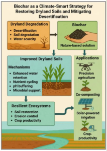 ПОЛЕВЫЕ ИССЛЕДОВАНИЯ ПОКАЗАЛИ, ЧТО БИОУГОЛЬ ПОВЫШАЕТ УРОЖАЙНОСТЬ