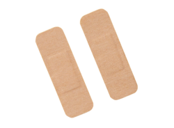 МОСКОВСКИЙ СТУДЕНТ СОЗДАЛ БИОПЛАСТЫРЬ ДЛЯ ЛЕЧЕНИЯ РАН У ЖИВОТНЫХ