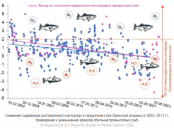УЧЕНЫЕ ПРОСЛЕДИЛИ ЗА ИСЧЕЗНОВЕНИЕМ КИСЛОРОДА СО ДНА БАЛТИЙСКОГО МОРЯ